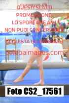 CS2_17561-