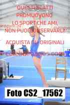 CS2_17562-