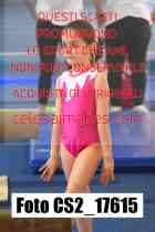 CS2_17615-