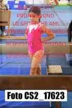 CS2_17623-