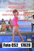 CS2_17628-