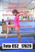 CS2_17629-
