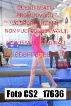 CS2_17636-