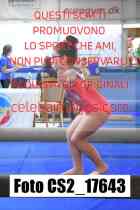 CS2_17643-