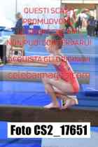 CS2_17651-