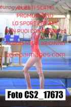 CS2_17673-