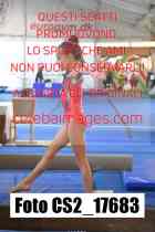 CS2_17683-