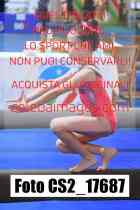 CS2_17687-
