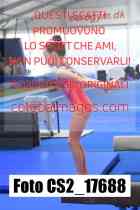 CS2_17688-