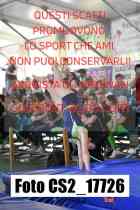 CS2_17726-
