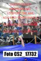 CS2_17732-