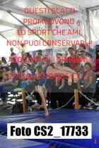 CS2_17733-