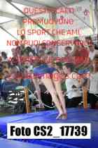CS2_17739-