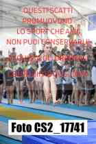 CS2_17741-