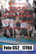 CS2_17766-