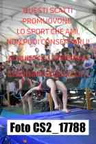 CS2_17788-