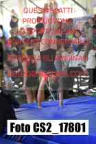CS2_17801-