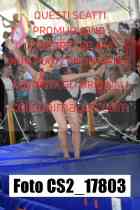 CS2_17803-