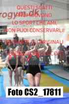 CS2_17811-
