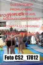 CS2_17812-