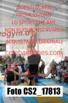 CS2_17813-