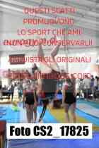 CS2_17825-