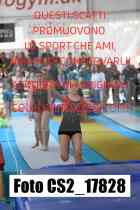 CS2_17828-