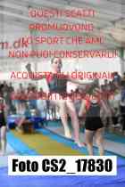 CS2_17830-