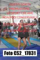 CS2_17831-