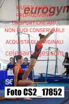 CS2_17852-
