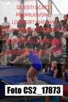 CS2_17873-