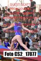 CS2_17877-
