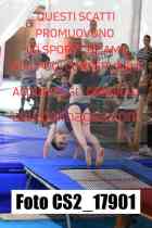 CS2_17901-