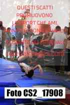 CS2_17908-