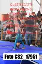 CS2_17951-