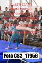 CS2_17956-