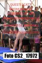 CS2_17972-