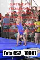 CS2_18001-