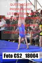 CS2_18004-