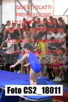 CS2_18011-