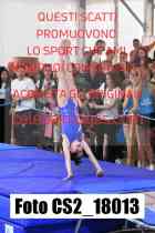 CS2_18013-