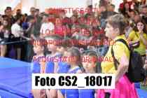 CS2_18017-