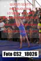 CS2_18026-