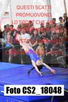 CS2_18048-