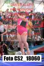 CS2_18060-