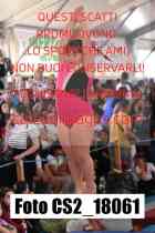 CS2_18061-