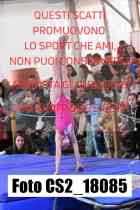 CS2_18085-