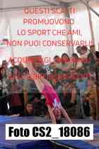 CS2_18086-