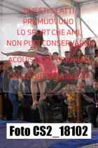 CS2_18102-