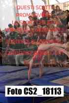 CS2_18113-